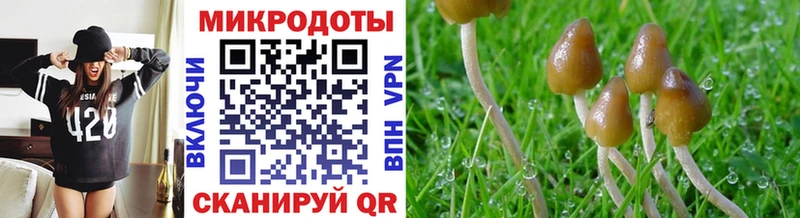 где найти   Оханск  Псилоцибиновые грибы MAGIC MUSHROOMS 
